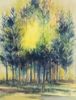 Picture of Trees thesis series: Blue Trees w/Sun