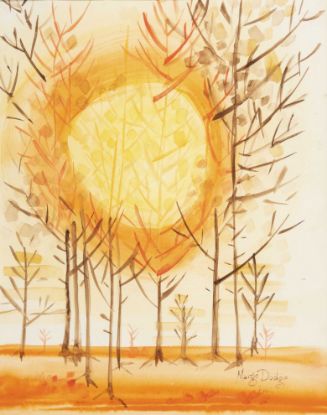 Picture of Trees Thesis series: Orange trees and the sun