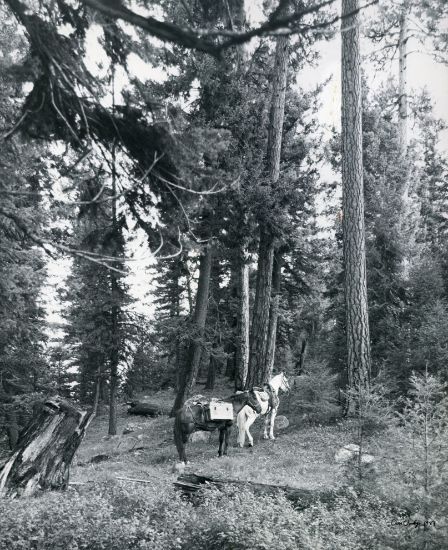 Picture of Magruder murder site