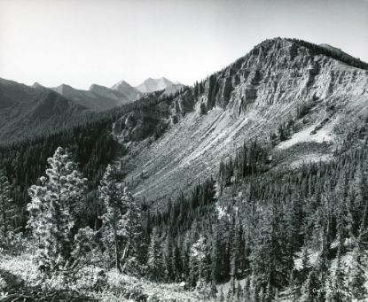 Picture of Washboard Reef View to South on Trail 117