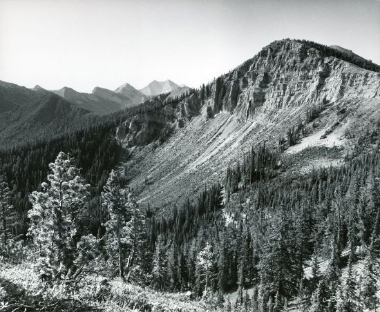 Picture of Washboard Reef View to South on Trail 117