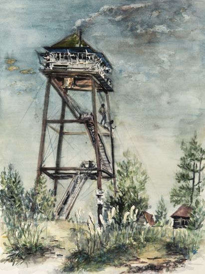 Picture of Sliderlock Lookout tower
