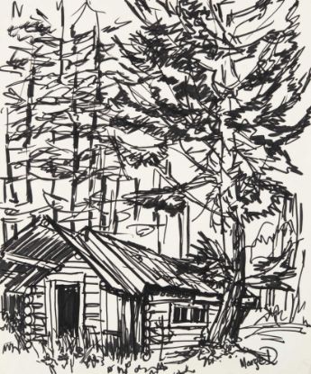 Picture of House in woods
